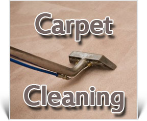 Carpet Steam Cleaning